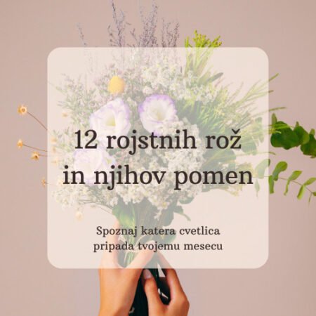 12 rojstnih rož in njihov pomen