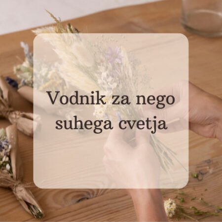 Vodnik za nego suhega cvetja