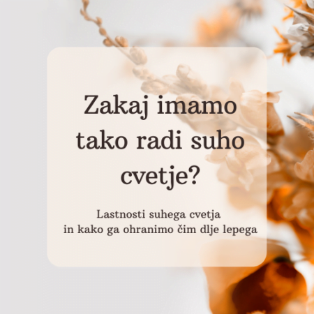 Zakaj imamo radi suho cvetje